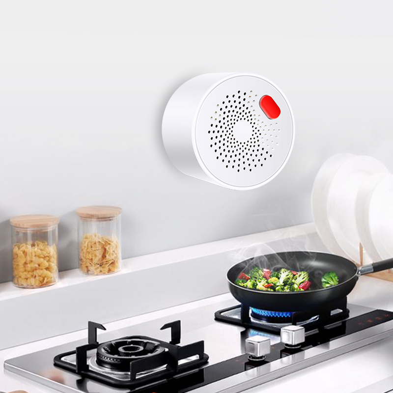 Tuya akıllı ev Wifi doğal gaz  - Smart Home Network incelemesi ve fiyatı