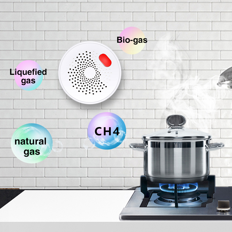 Tuya akıllı ev Wifi doğal gaz  - Smart Home Network incelemesi ve fiyatı