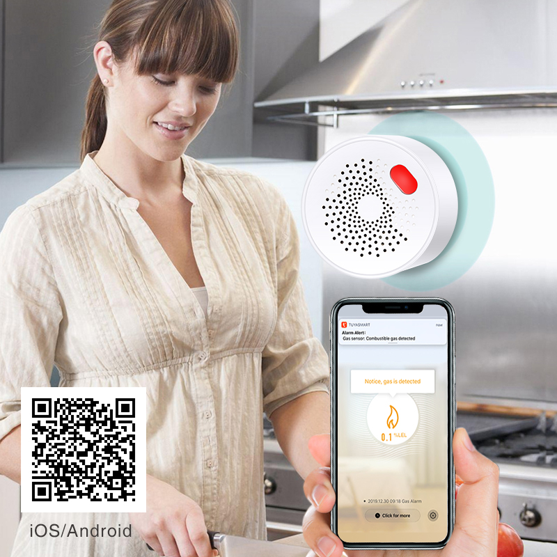 Tuya akıllı ev Wifi doğal gaz  - Smart Home Network incelemesi ve fiyatı